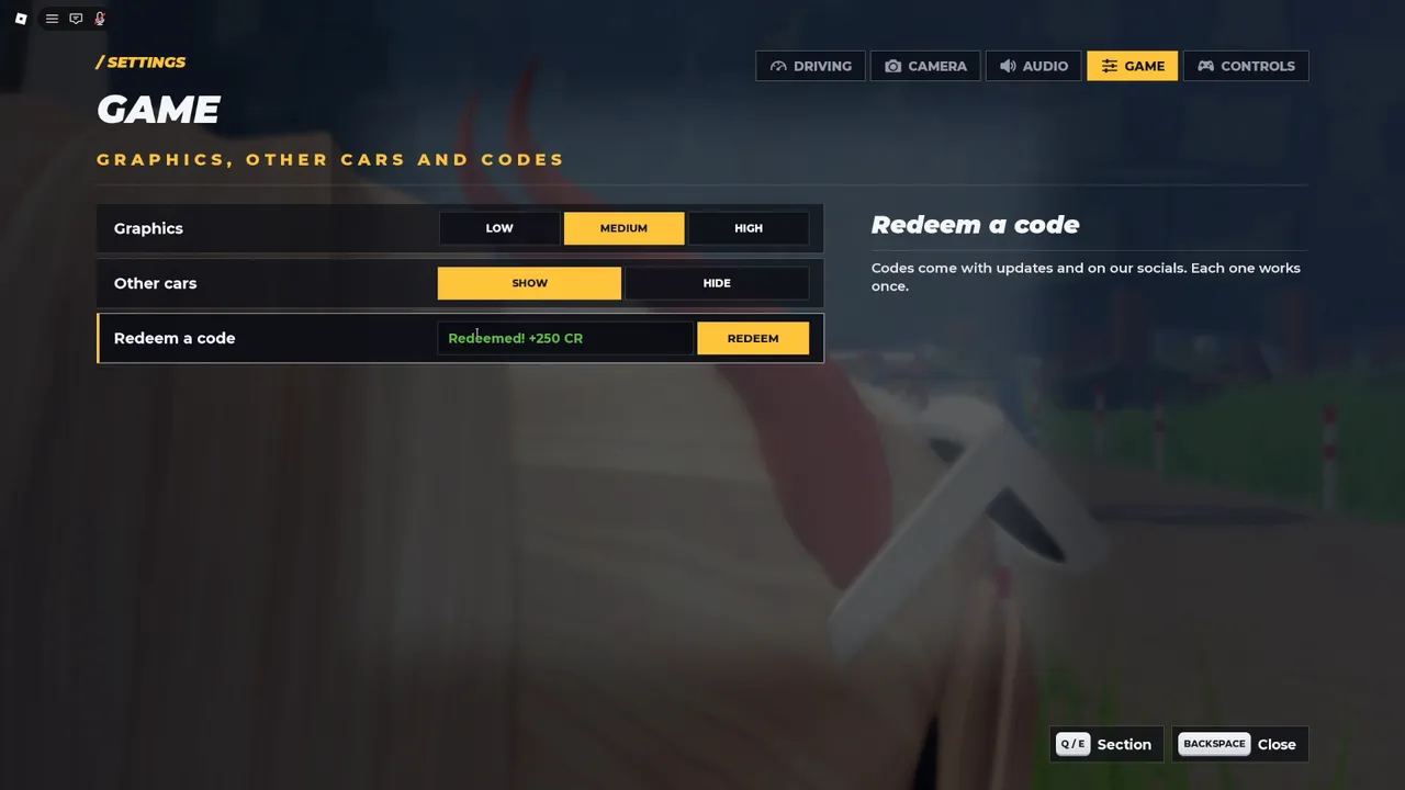 Backseat Rally's Redeem a code box in Settings, after redeeming RELEASE
