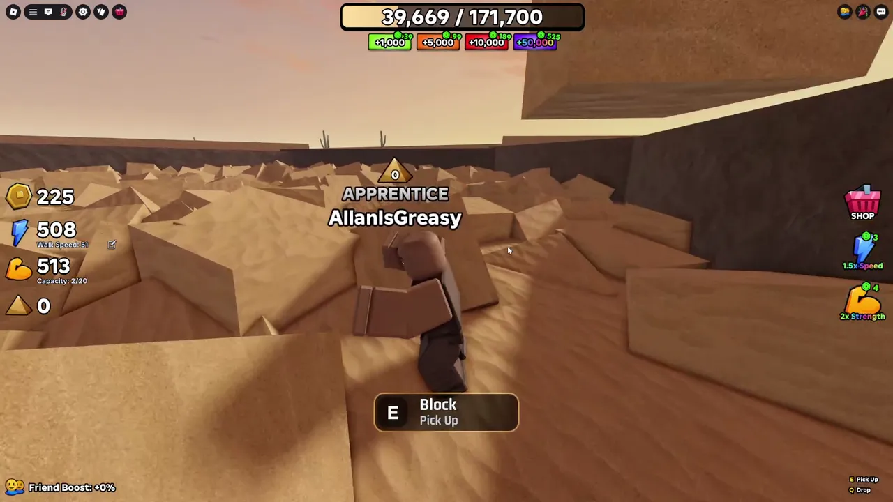 Standing at the block pile with the E Block Pick Up prompt on screen.